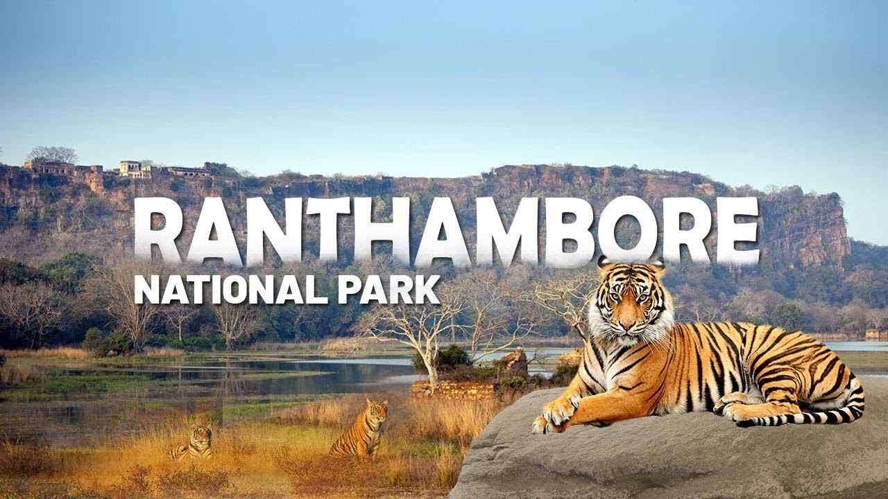 Ranthambore